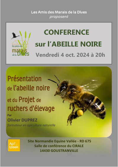 Affiche conf abeille 4 10 24