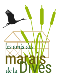 Logo amd et cigogne transparent 03 2023